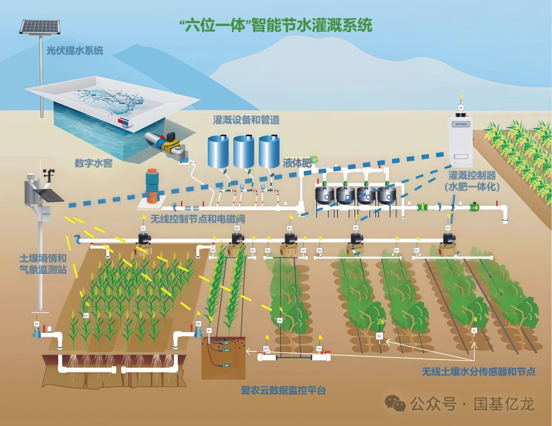 迭代升级！国基亿龙“六位一体”解决方案，重塑全链条智慧农业新生态