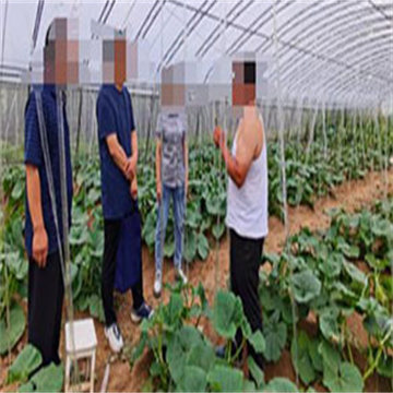 山西省农业农村局重点考察了软体集雨水窖项目