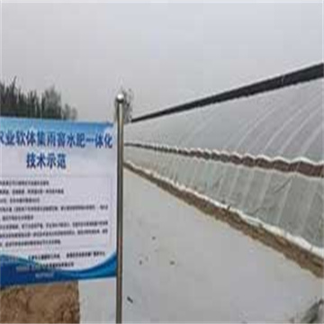 天津市温室大棚软体集雨水窖，为节约用水开辟了新路