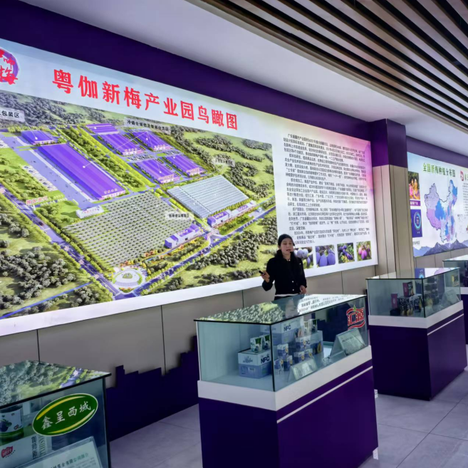 国机亿龙赴新疆喀什考察合作，共绘现代农业发展蓝图