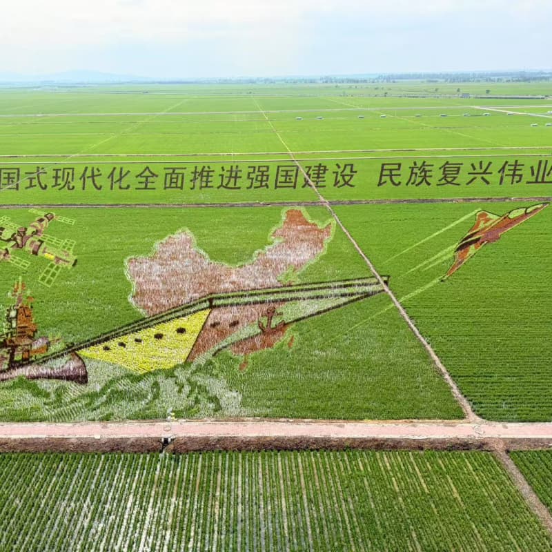 政策领航 科创赋能 国基亿龙共绘现代农业发展新图景