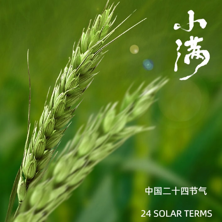国机亿龙：今日小满