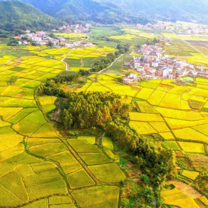 乡村振兴战略背景下数字乡村建设存在的问题[1]