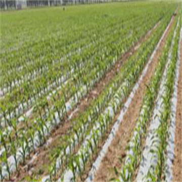 内蒙古大力推广软体集雨水窖和智能水肥一体化