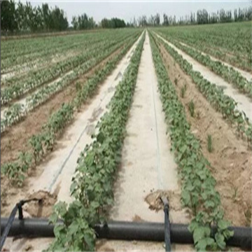 棉花的节水灌溉方式有哪些优点？